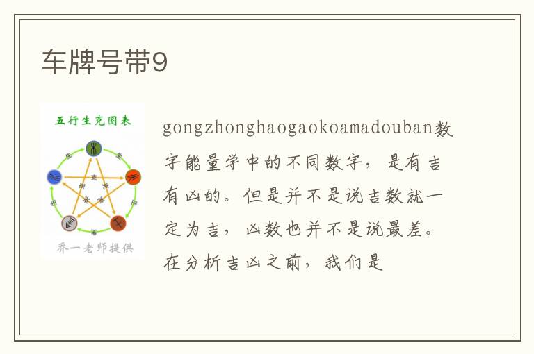 车牌号带9